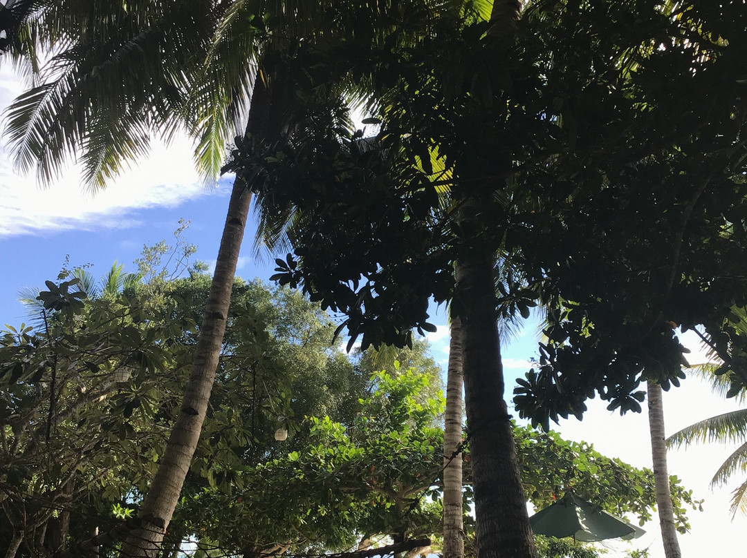 亚摩瑞拉度假村主图