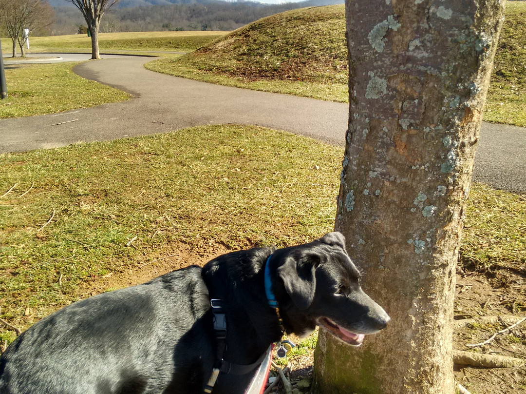 Willow Springs Park-约翰逊城必去景点
