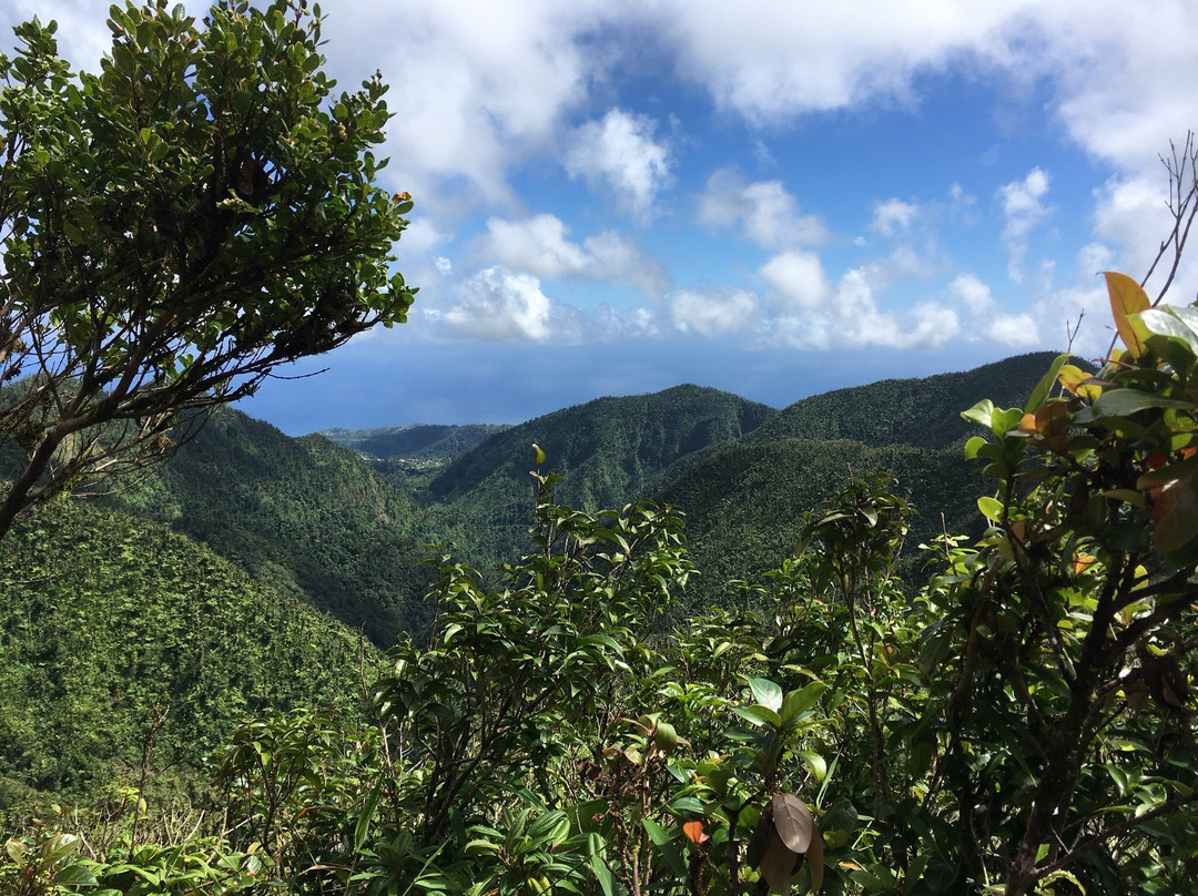 Boeri Lake-Morne Trois Pitons National Park必去景点