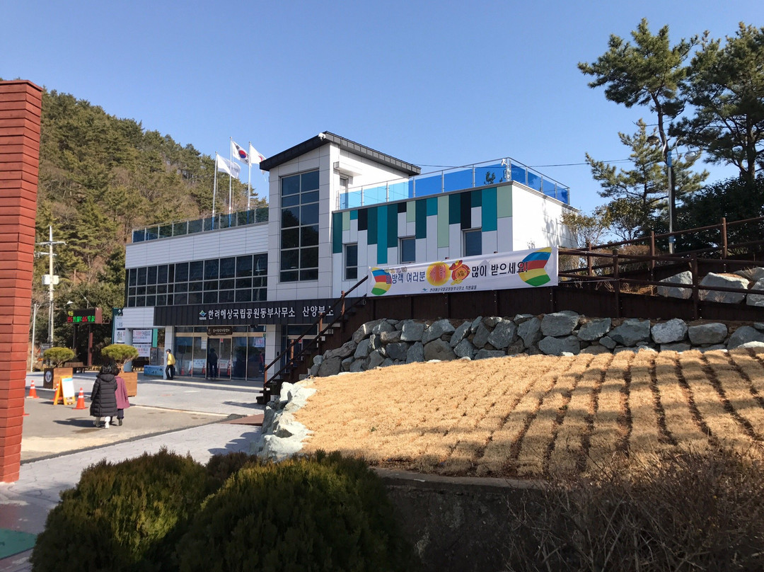 Dara Park-统营市必去景点