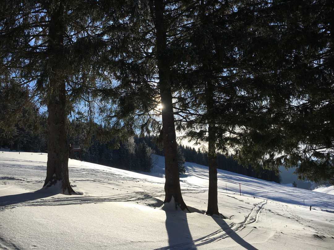 Nordic-Center Notschrei-托特瑙必去景点