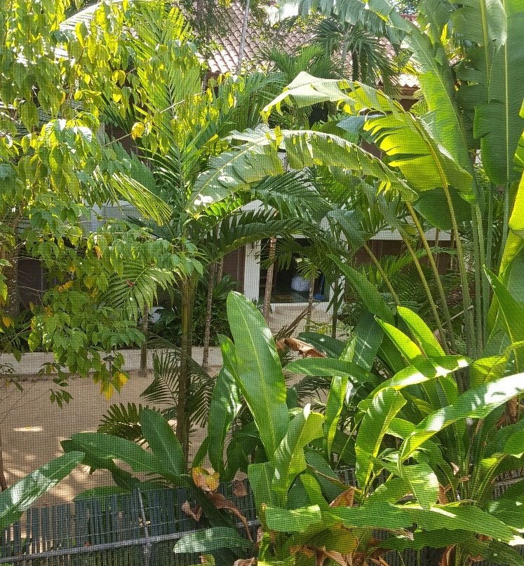 可可棕榈酒店主图