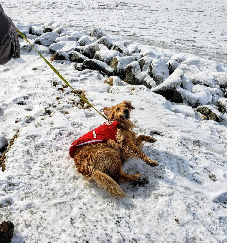 Ferry Park-Rock Hall必去景点