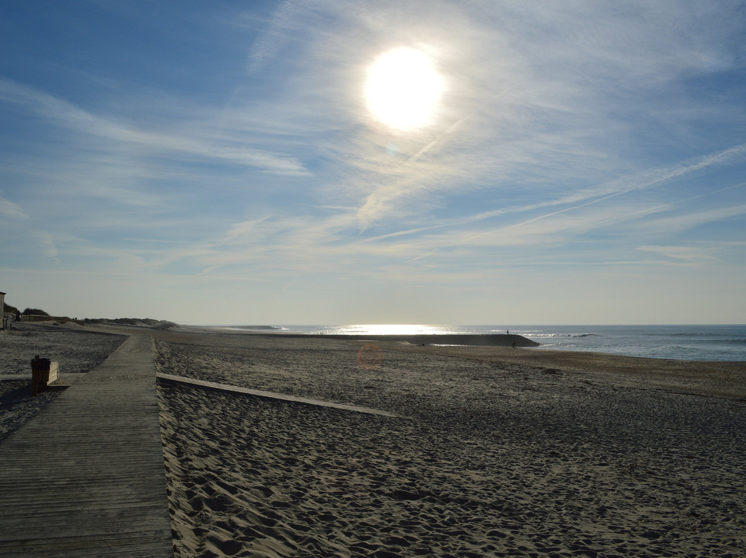 Praia da Costa Nova景点图片