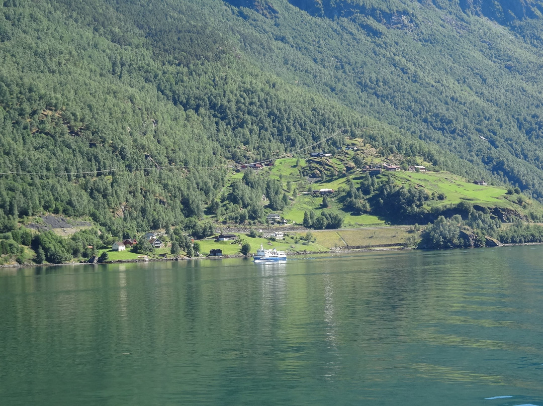 Norwegian Fjord Voyage AS-Gudvangen必去景点