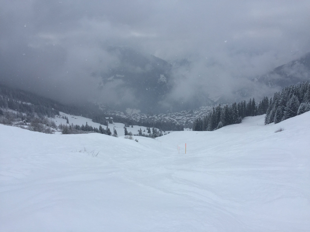 Performance Verbier - Ski School景点图片