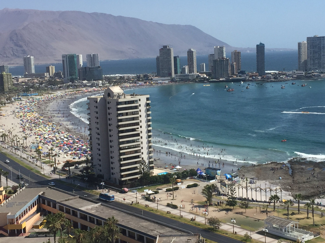 Gran Cavancha Hotel & Apartments主图