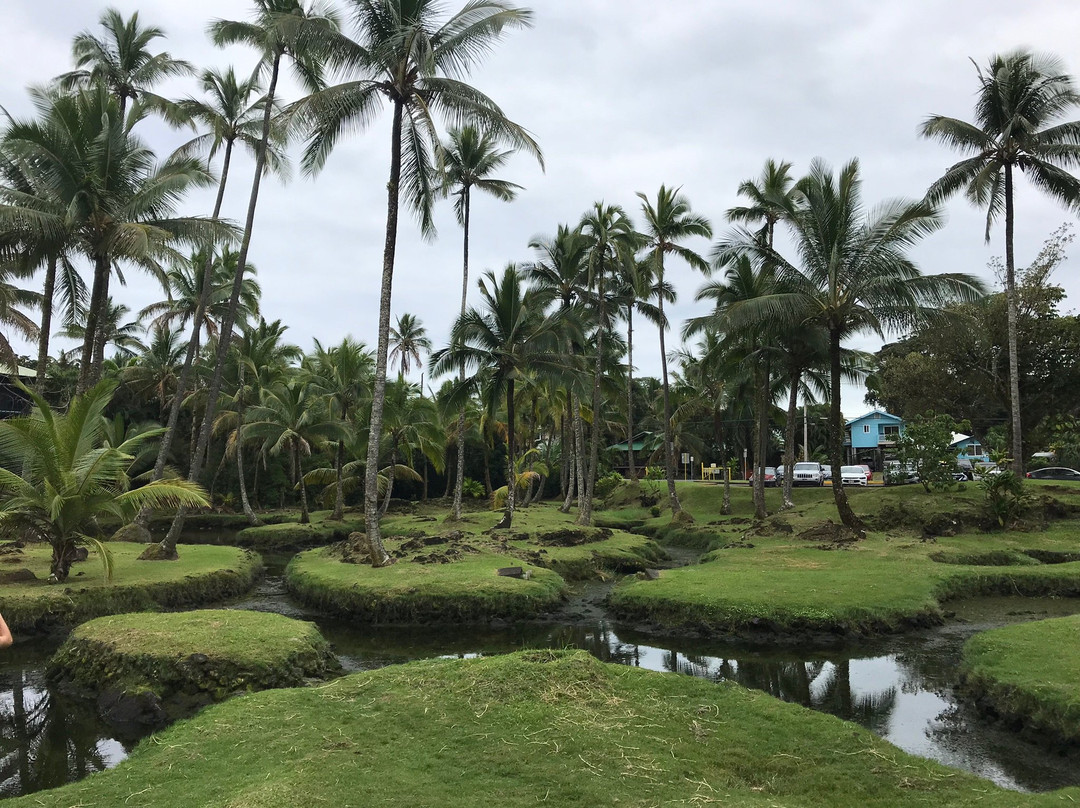 Marylou's Big Island Guided Tours - Private Tours景点图片