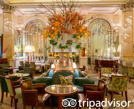 克拉里奇酒店，梅伯恩酒店系列主图