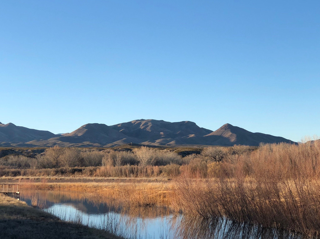 Bosque del Apache National Wildlife Refuge景点图片