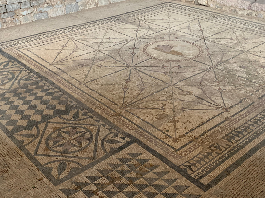 Roman Mosaics Risan景点图片