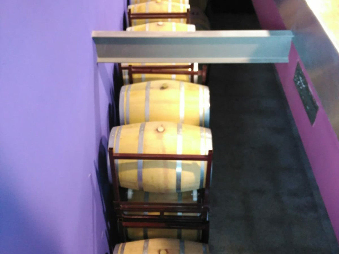 Bodegas NOC景点图片