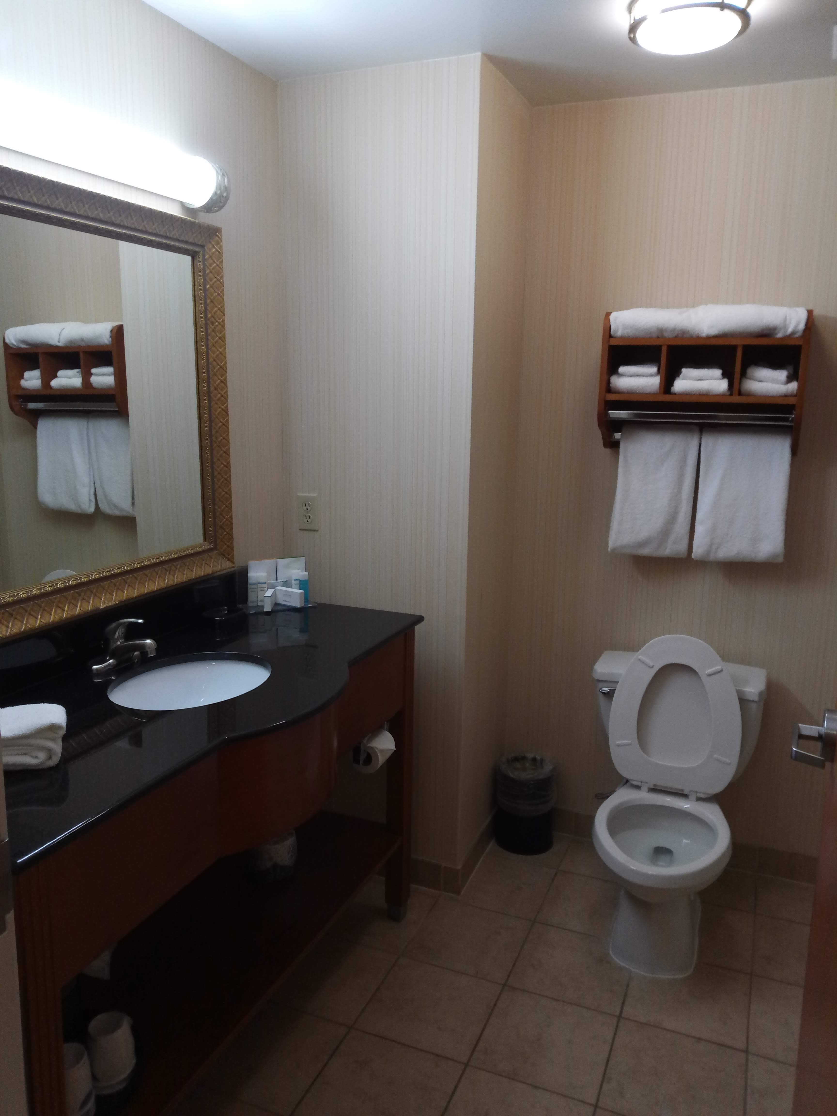 Hampton Inn Detroit/Utica - Shelby Township-浴室