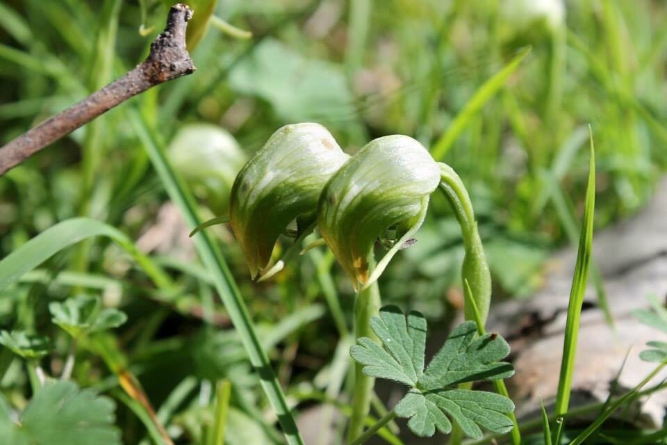 Benambra National Park-Culcairn必去景点