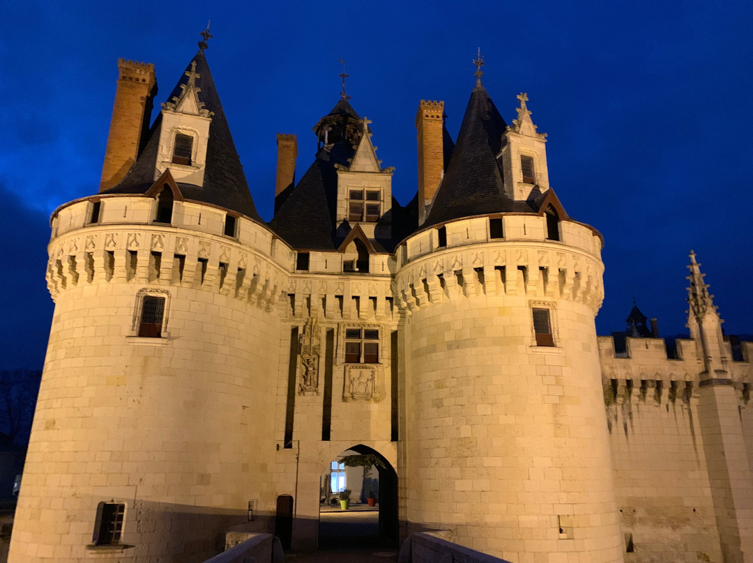 Chateau de Dissay主图