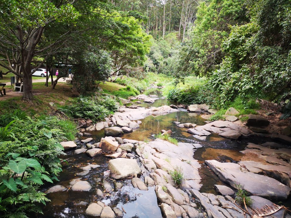 Paradise Valley Nature Reserve景点图片