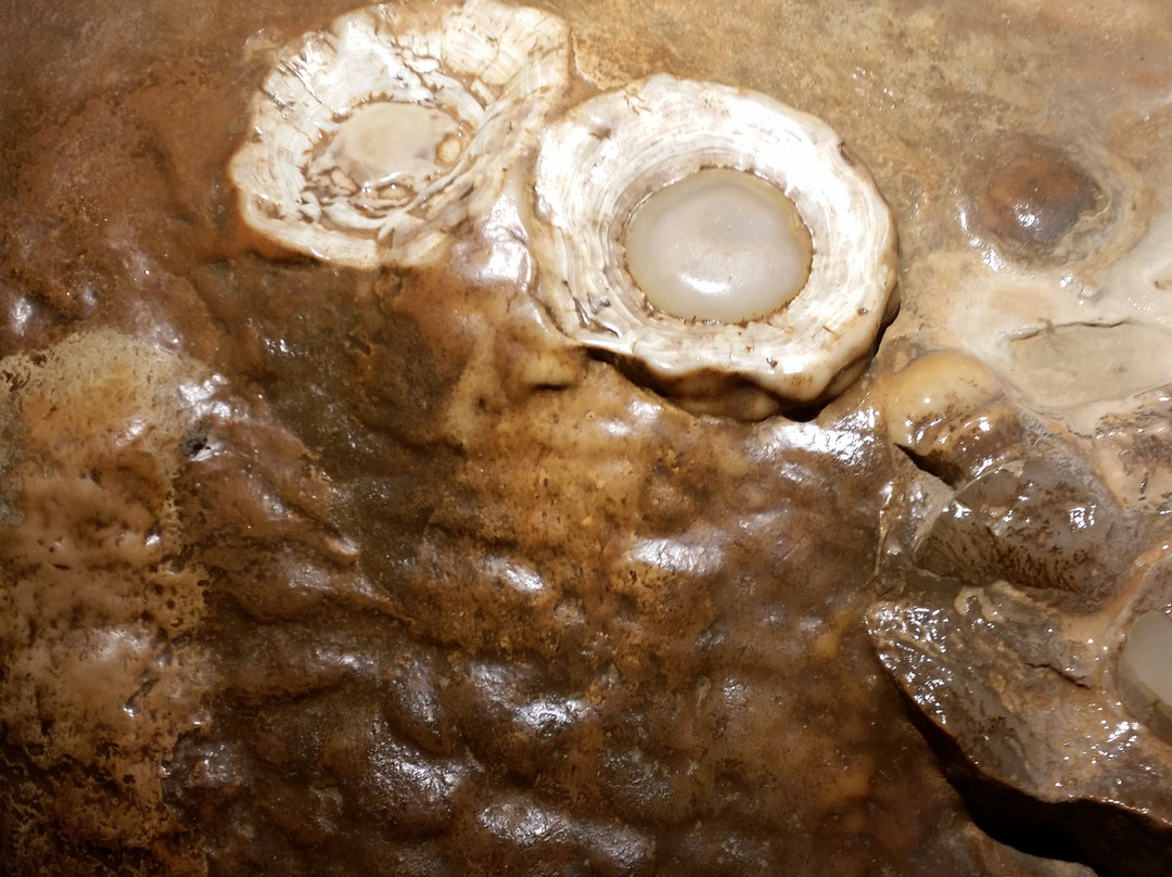 Luray Caverns-卢雷必去景点