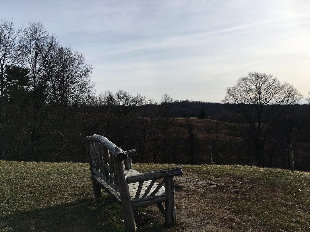 Poets' Walk Park-Red Hook必去景点