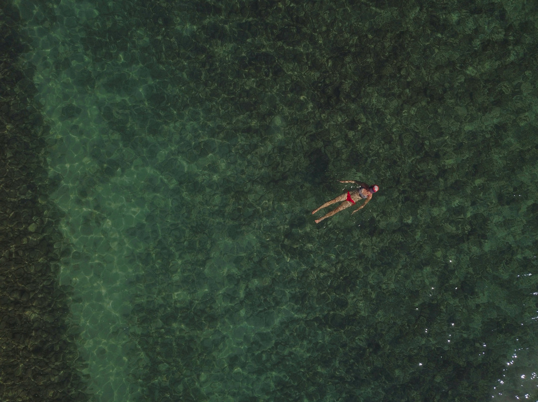 DownWinder Inn主图