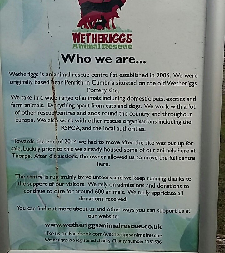 Wetheriggs Animal Rescue-Barnard Castle必去景点