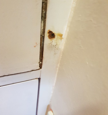 法拉盛草地度假村主图