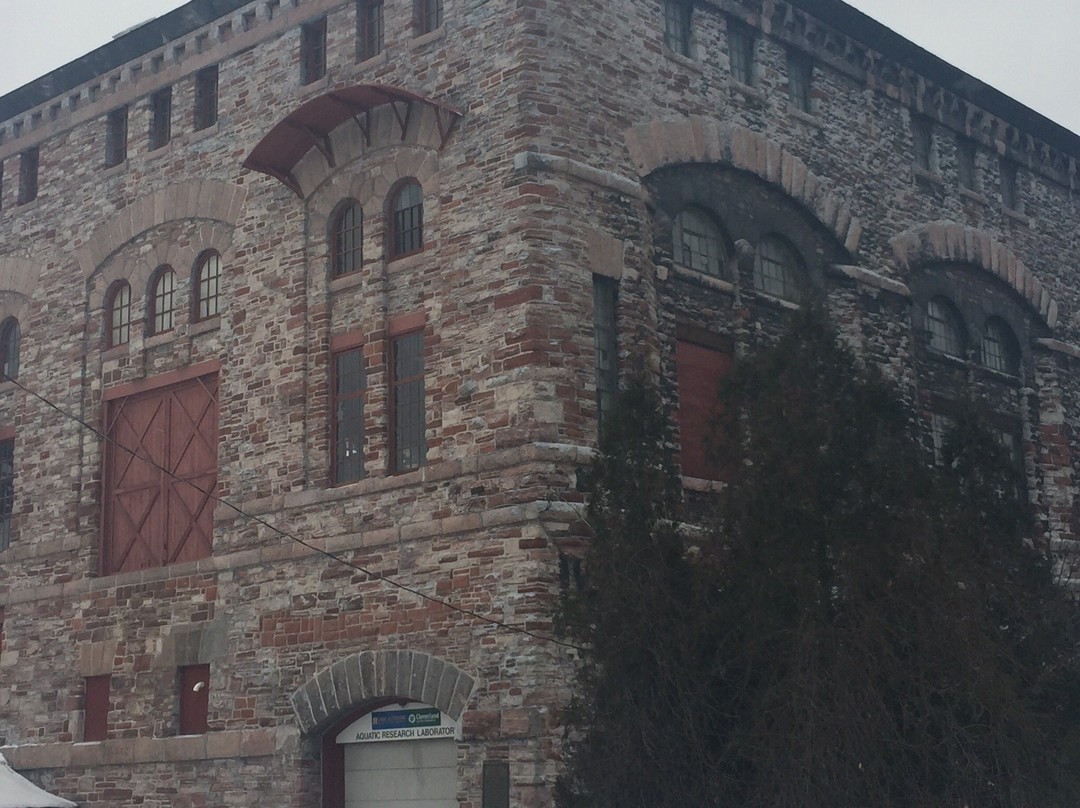 Saint Marys Falls Hydropower Plant-Sault Ste. Marie必去景点