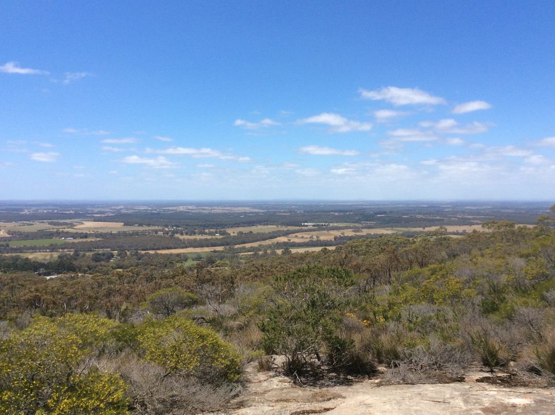 Mount Barker Hill Lookout景点图片