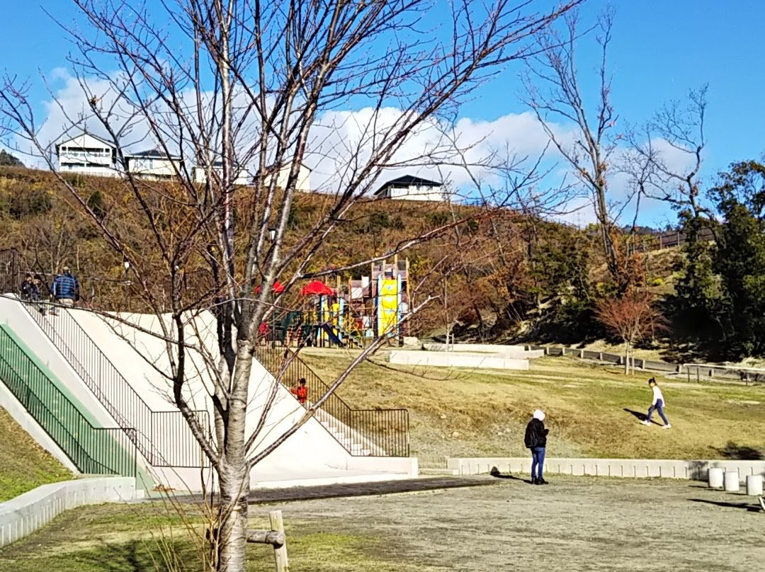 Saito Nanairo Park景点图片