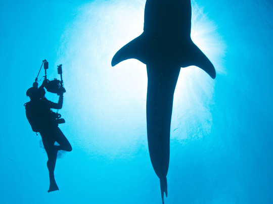 Solitude One-公主港必去景点