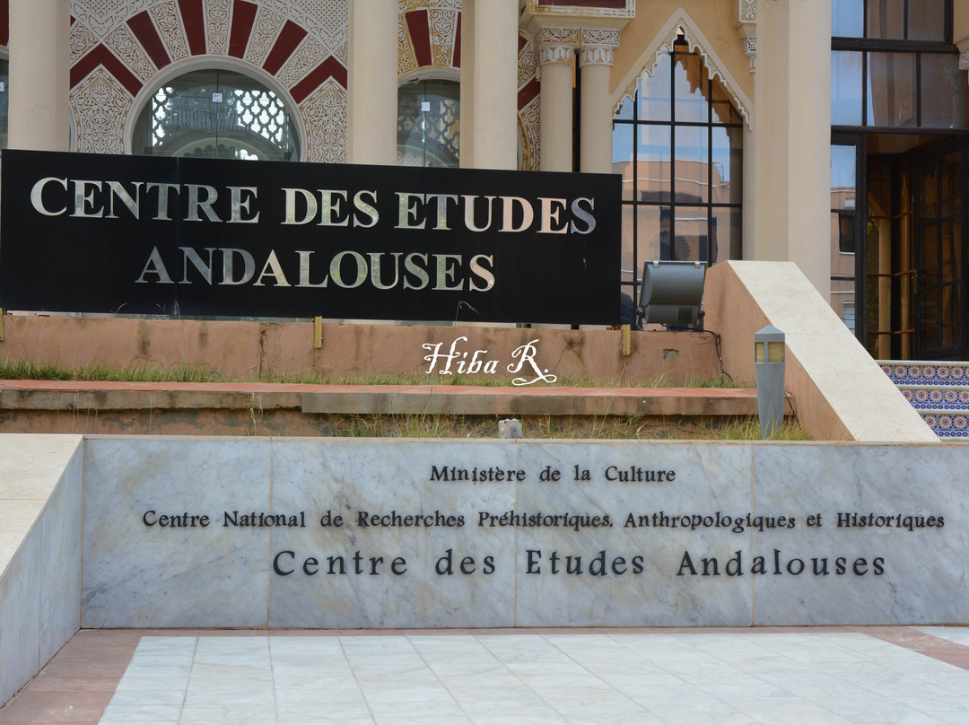 Centre des études andalouses景点图片
