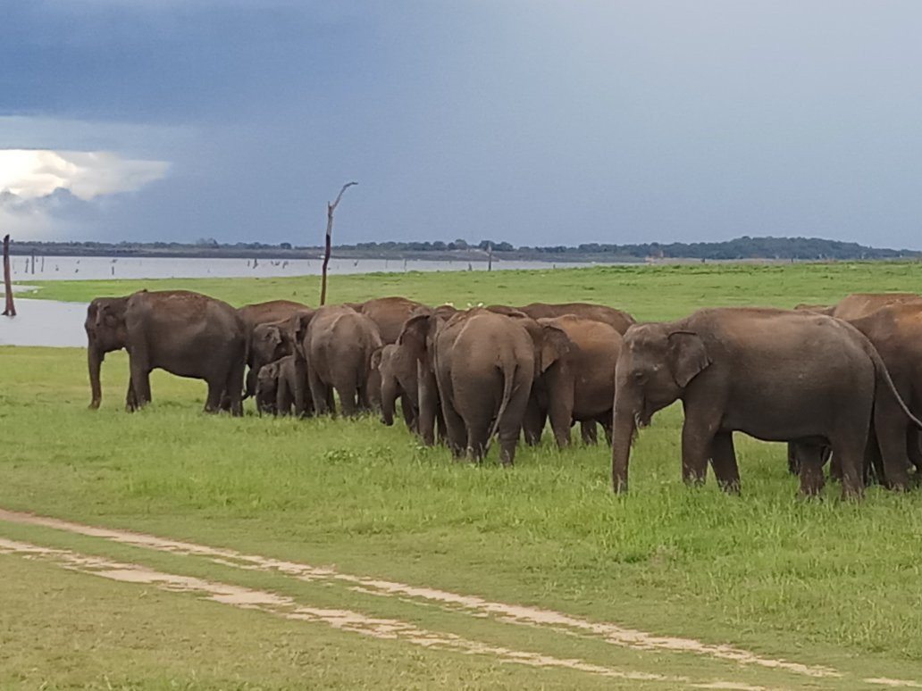 Amaya Lankan Tours-尼甘布必去景点