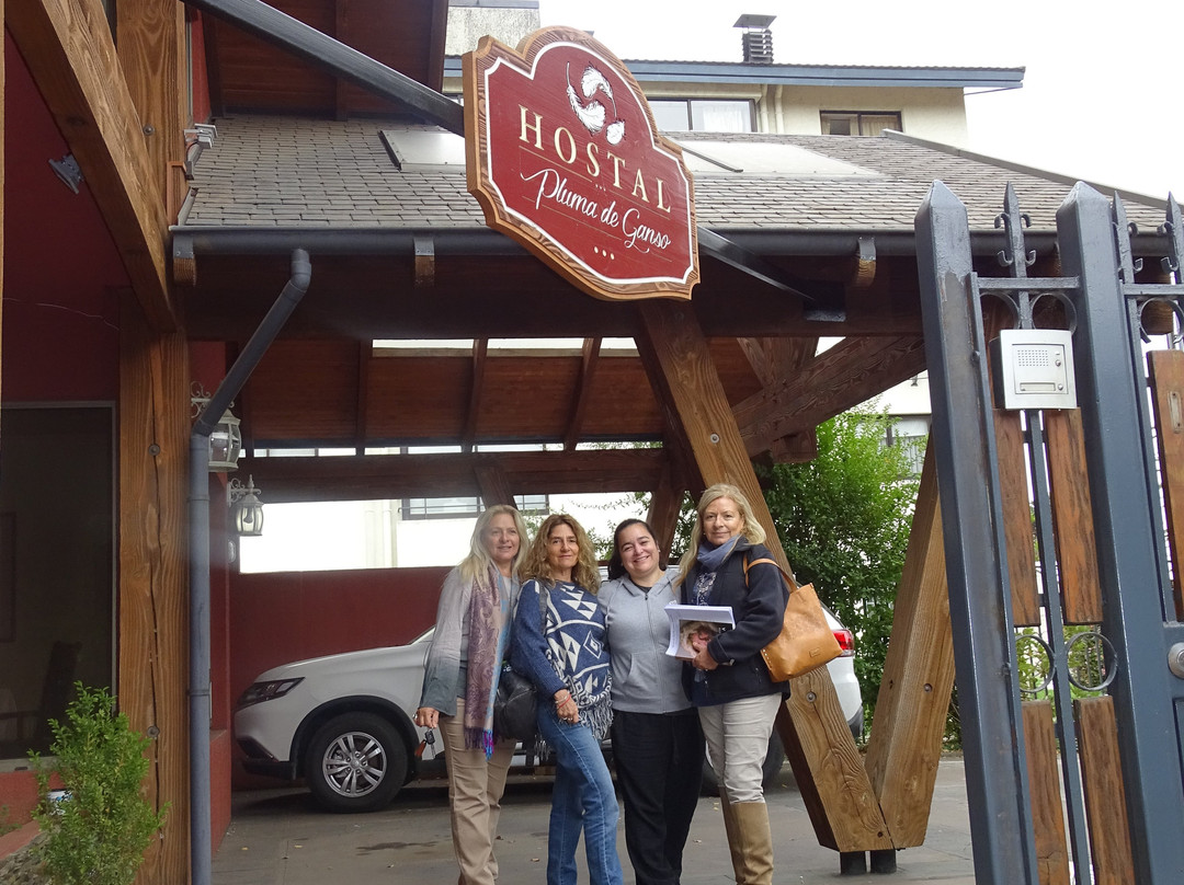 Hostal Pluma de Ganso主图