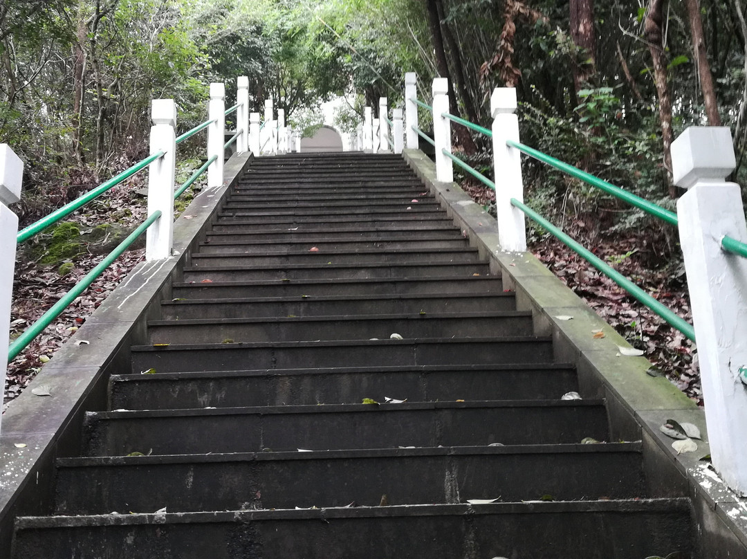 黄贤海上长城森林公园-奉化市必去景点