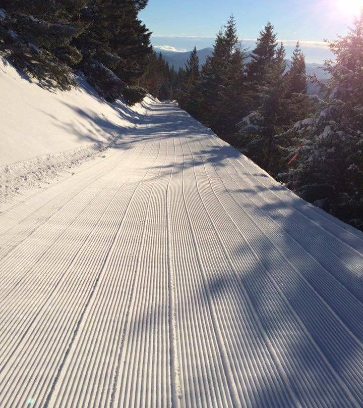 Turner Mountain Ski Area-Libby必去景点