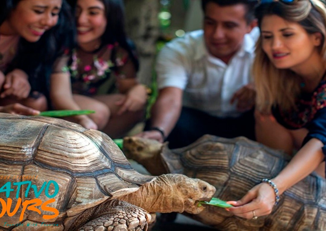 Nativo Tours-Tapachula必去景点