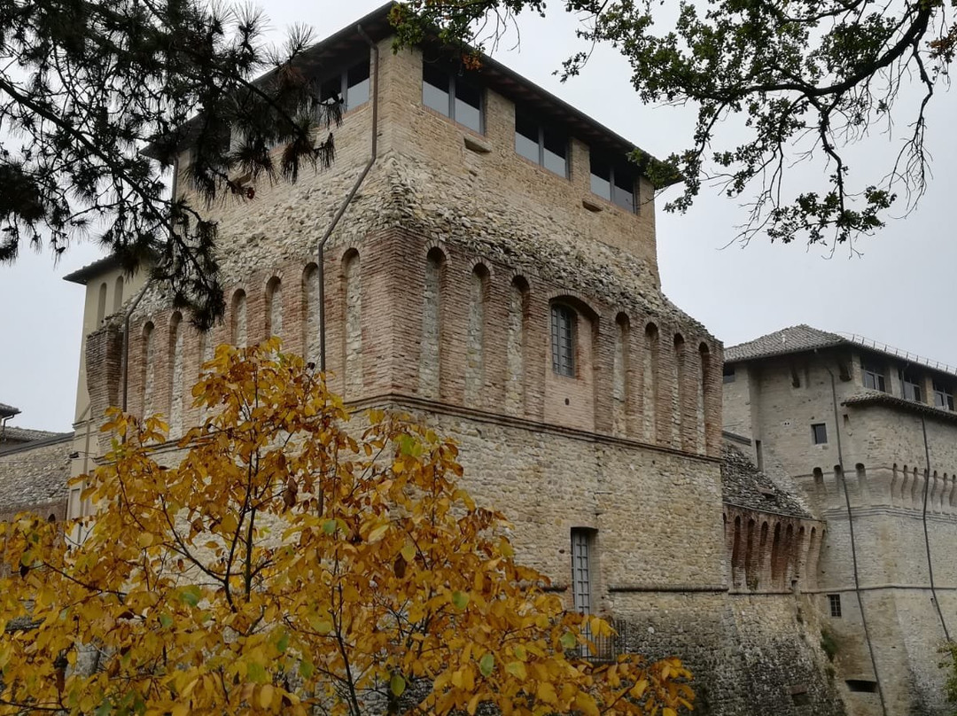 Castello di Felino景点图片