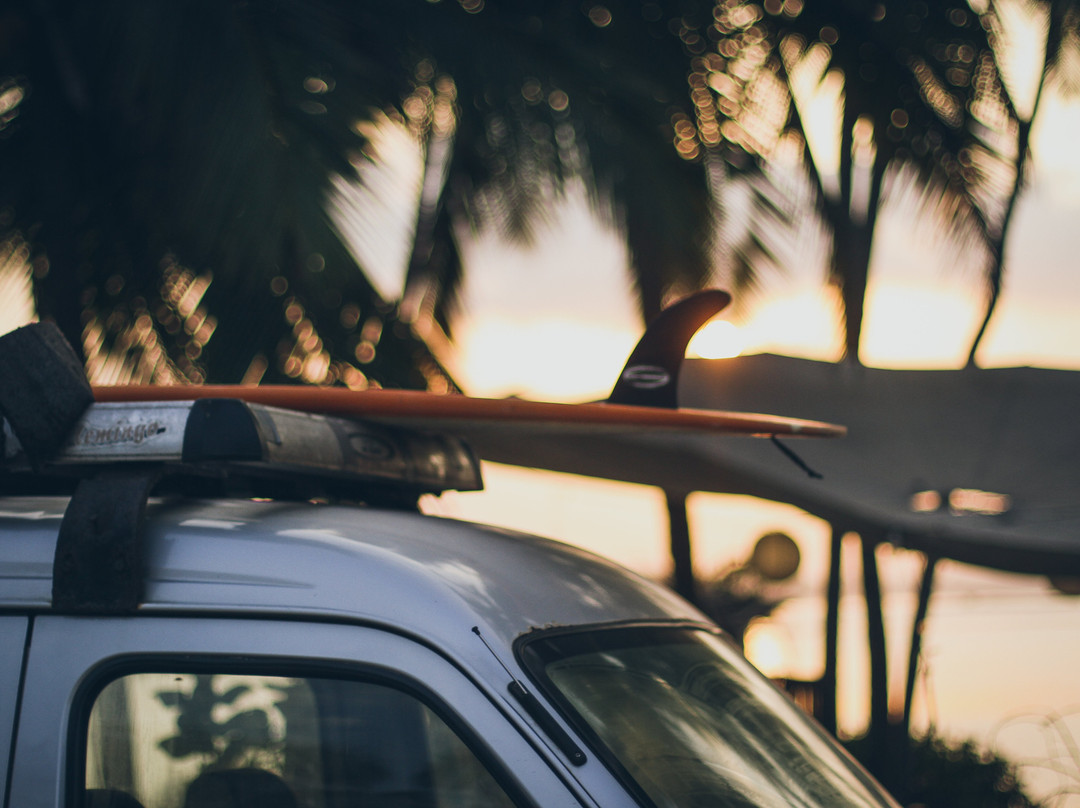 The Shaka Surf Club景点图片