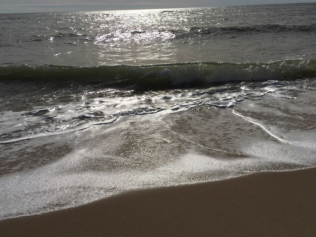Katama Beach (South Beach)景点图片