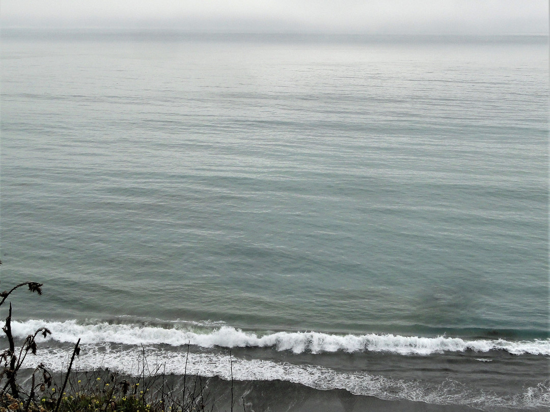 Westport-Union Landing State Beach景点图片