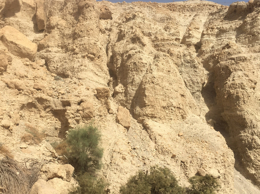 Ein Gedi Eco Park景点图片