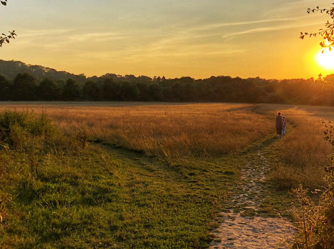 Chesworth Farm景点图片