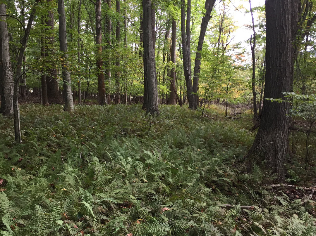 Caleb Smith State Park Preserve-Smithtown必去景点