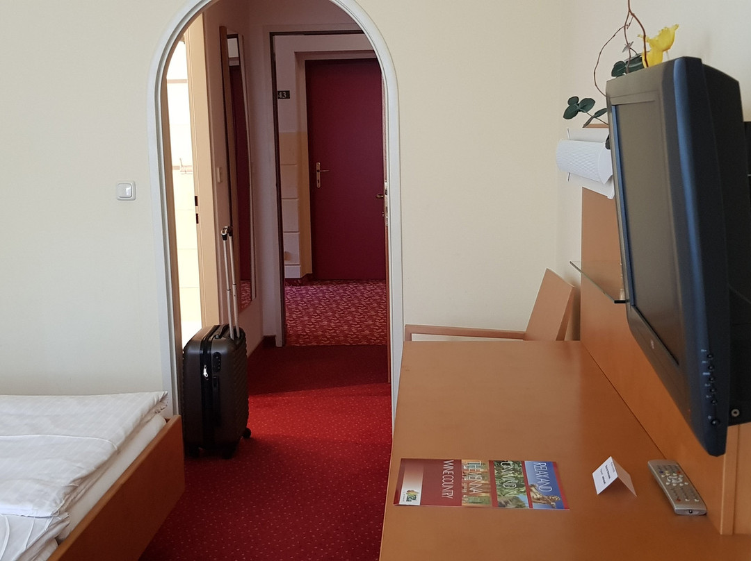 Hotel Klaus im Weinviertel主图
