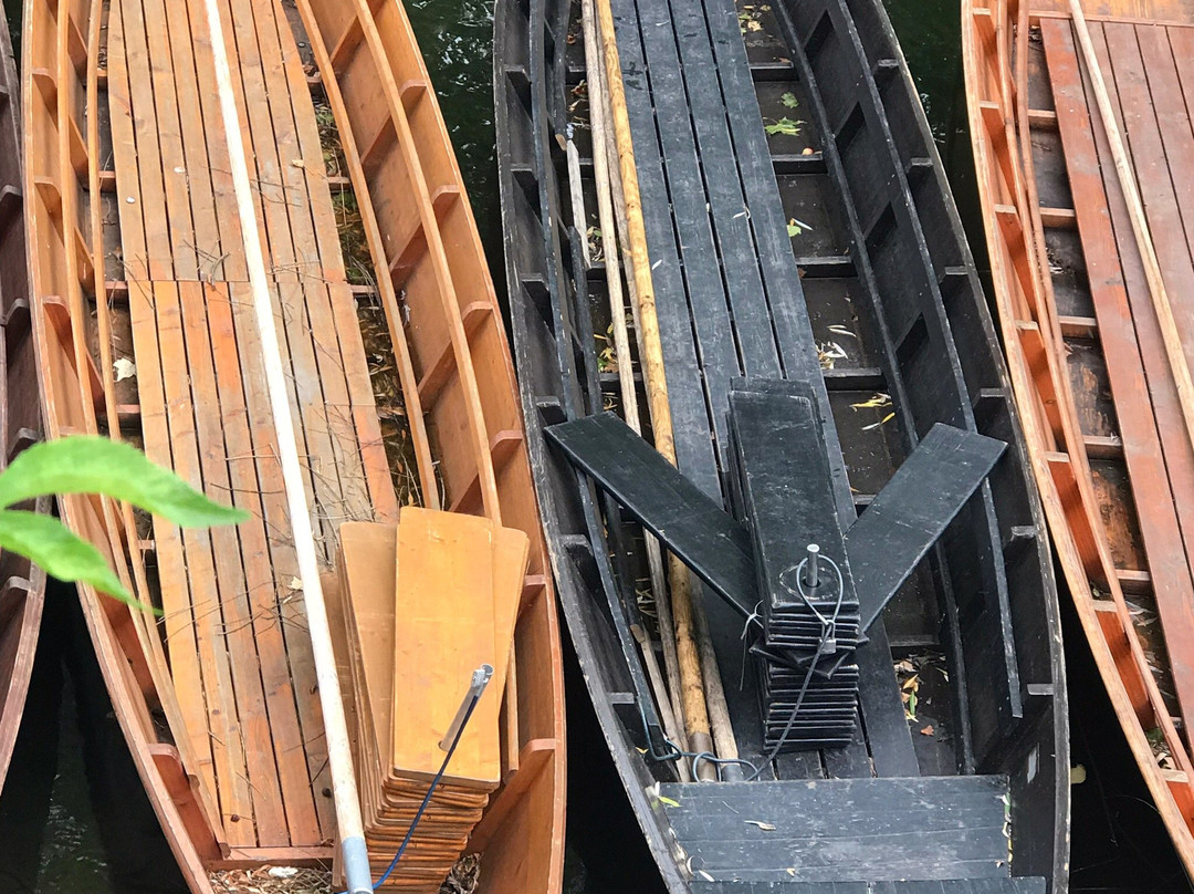 Public Punting Trips景点图片