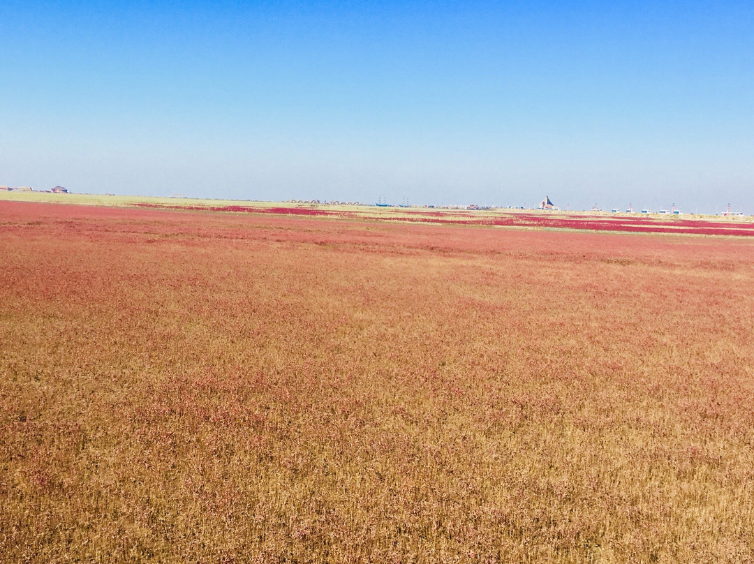 盘锦湖滨公园-盘锦市必去景点