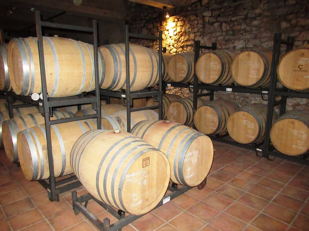 Celler De Capcanes-Capcanes必去景点