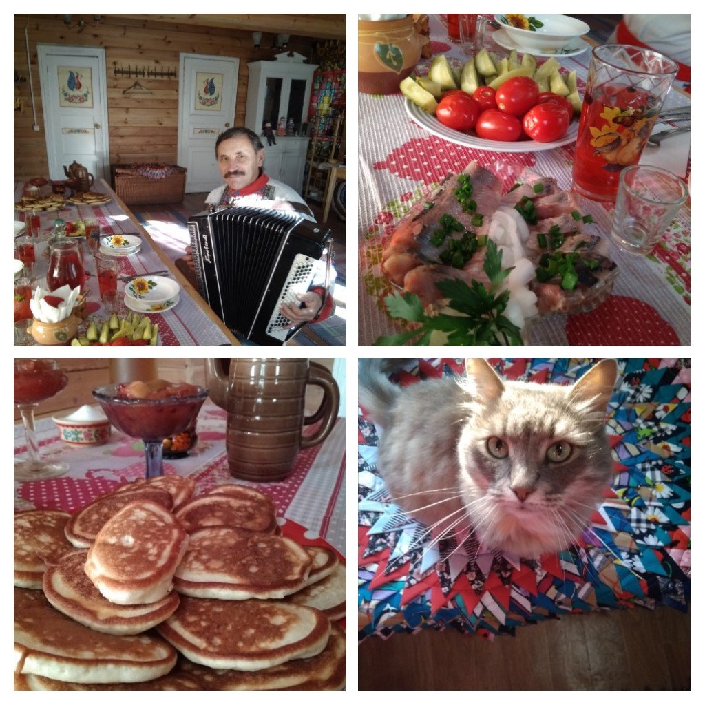 Guest House Zhar-Ptitsa-官方