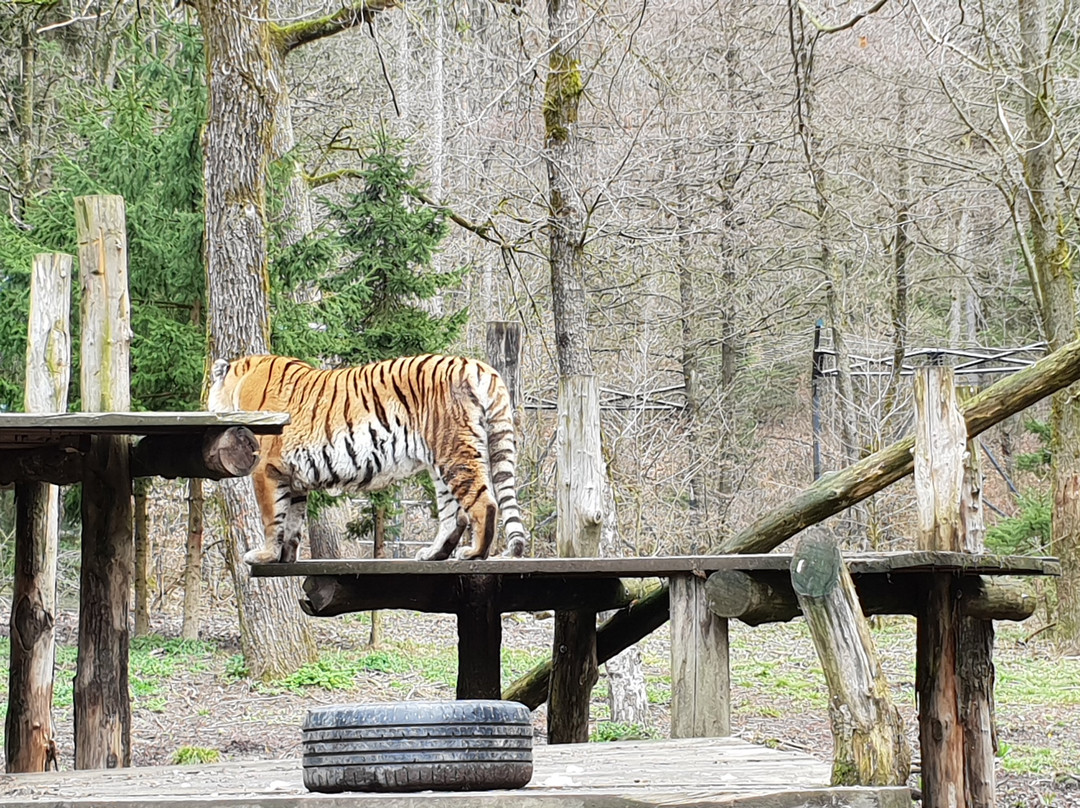 ZOO Ljubljana景点图片