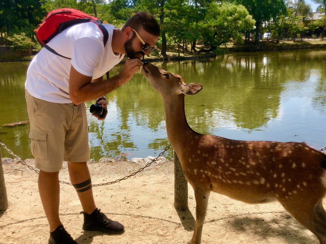 Nara Jidoyuen-市原市必去景点
