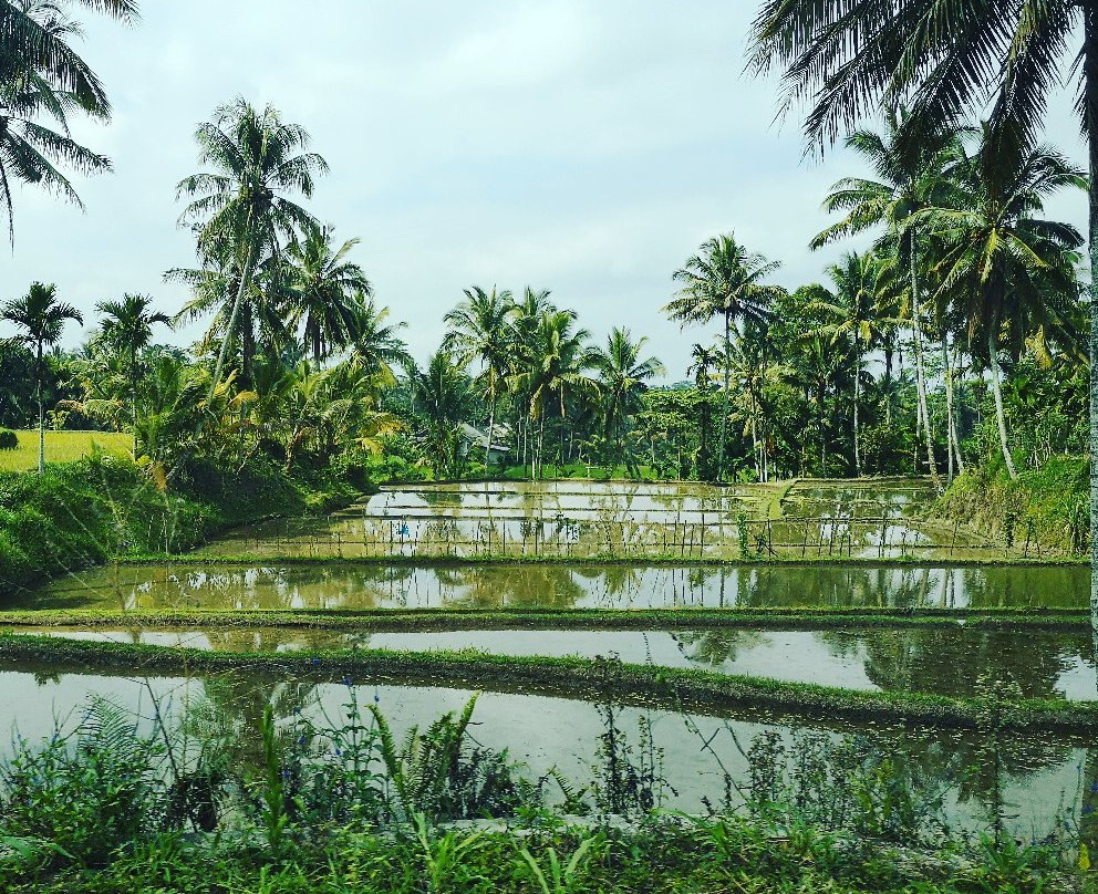 Rifky Tour and Travel-Kuta必去景点